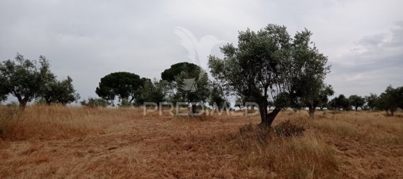  Land in Quarteira, Portugal No. 190619 11