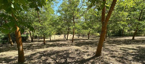 2400m² Land in Caporciano, Italy No. 286770 2