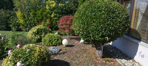 Casa de 6 divisões em Engelhartstetten, Austria N.º 234858 22