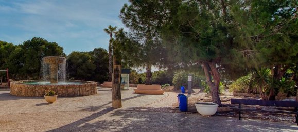 1 bedroom Apartment in Torrevieja, Spain No. 180296 25