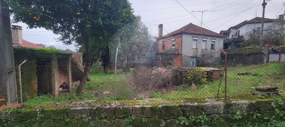 3 bedrooms House in Tondela, Portugal No. 162778 4