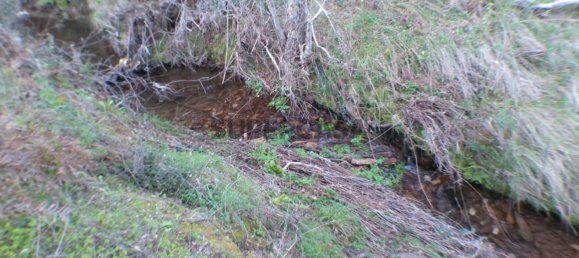 2 bedrooms House in Esperanca, Portugal No. 160783 10