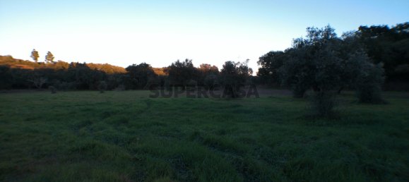 2 bedrooms House in Esperanca, Portugal No. 160783 5