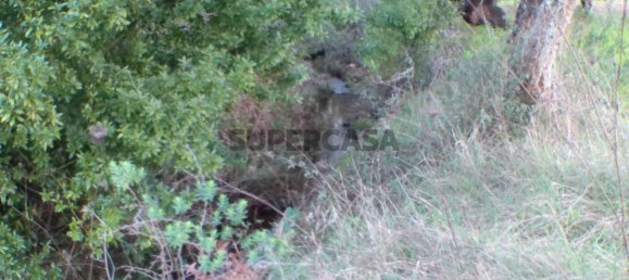 2 bedrooms House in Esperanca, Portugal No. 160783 20