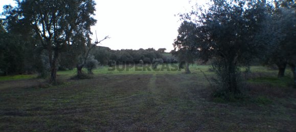 2 bedrooms House in Esperanca, Portugal No. 160783 37