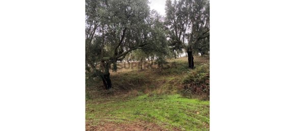 2 bedrooms House in Esperanca, Portugal No. 160783 35