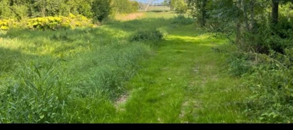 3 Schlafzimmer Haus in Uckermark, Germany, Nr. 316431 12