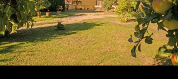 3 Schlafzimmer Haus in Uckermark, Germany, Nr. 316431 8