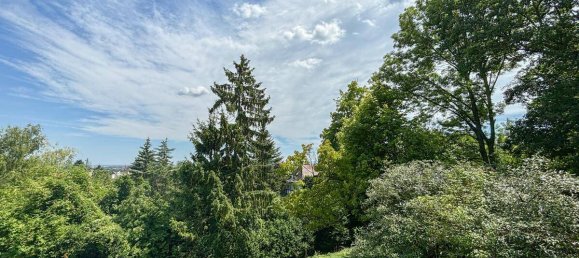 7 rooms Villa in Modling, Austria No. 84553 13