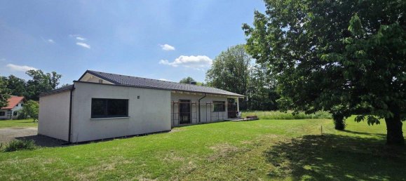 3 rooms Bungalow in Halbenrain, Austria No. 151574 2