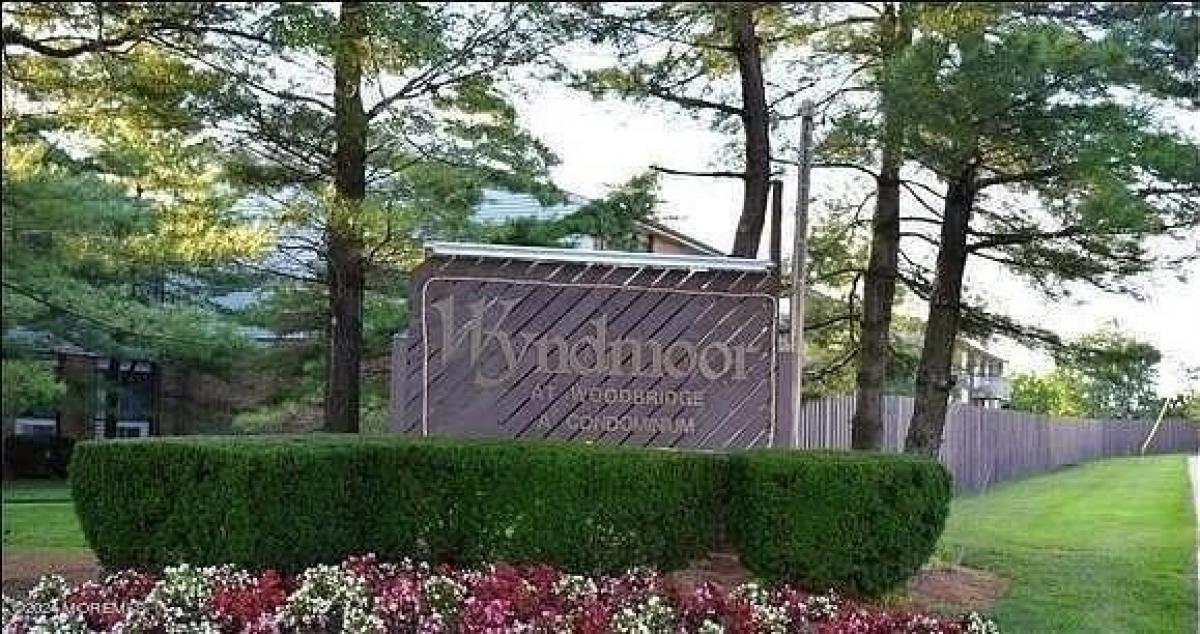 Studio in Woodbridge, USA No. 393152