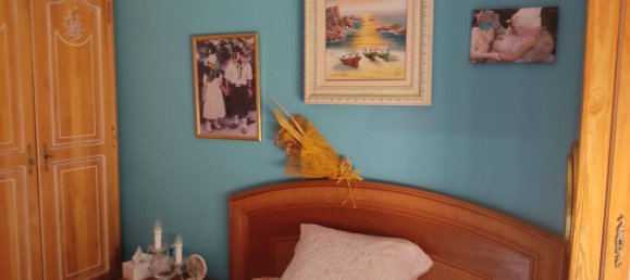 4 bedrooms House in Roda De Bara, Spain No. 161275 33