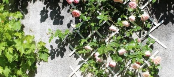 Дом с 4 спальнями в Монтуар-сюр-ле-Луар, Франция № 217508 15