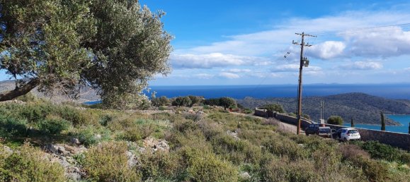 Hotel em Agios Nikolaos, Greece 4004 m² N.º 3344 8