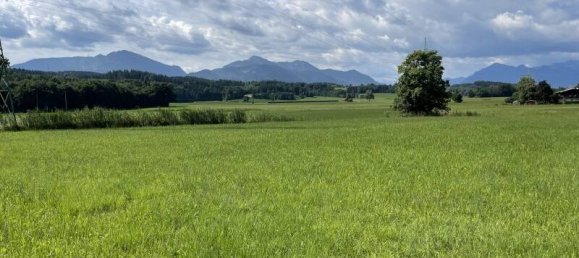 9-salle Terrain à Traunstein, Germany No. 221136 8