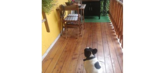 5-Zimmer Haus in Valli del Pasubio, Italy, Nr. 298535 2