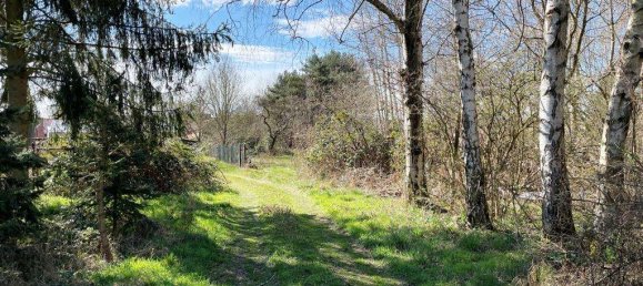 Casa de 3 habitaciónes en Ludwigslust-Parchim, Germany No. 235574 21