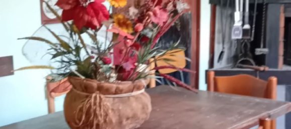 5غرفة منزل ذو طابقين في Livorno, Italy رقم 73209 16