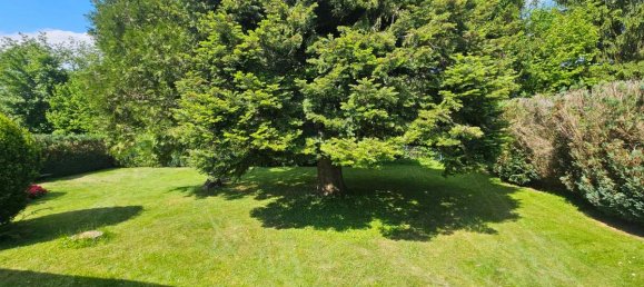 4 rooms House in Puchenstuben, Austria No. 173664 6