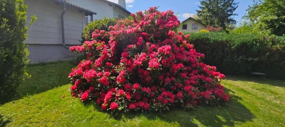 4 rooms House in Puchenstuben, Austria No. 173664 4