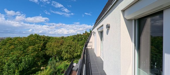 5 bedrooms House in Chennevieres-sur-Marne, France No. 325738 17