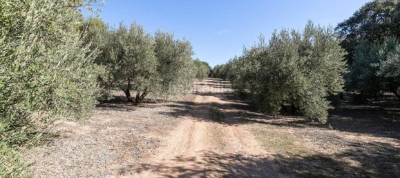  قطعة أرض في Granada, Spain 26000متر مربع رقم 108063 8