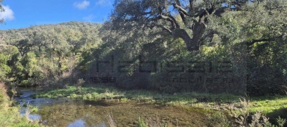 Grundstück in Grandola, Portugal 248300m², Nr. 271528 2