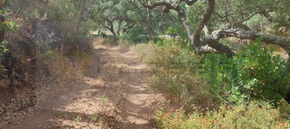 Grundstück in Grandola, Portugal 248300m², Nr. 271528 5