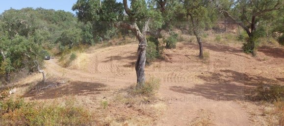 Grundstück in Grandola, Portugal 248300m², Nr. 271528 8