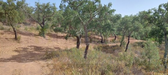 Grundstück in Grandola, Portugal 248300m², Nr. 271528 6