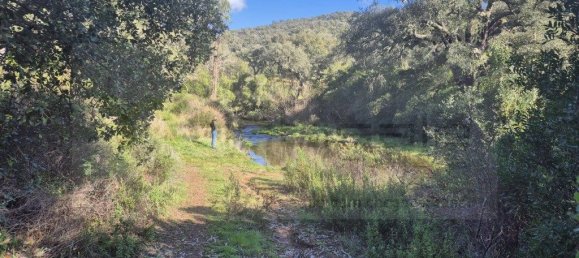 Grundstück in Grandola, Portugal 248300m², Nr. 271528 9