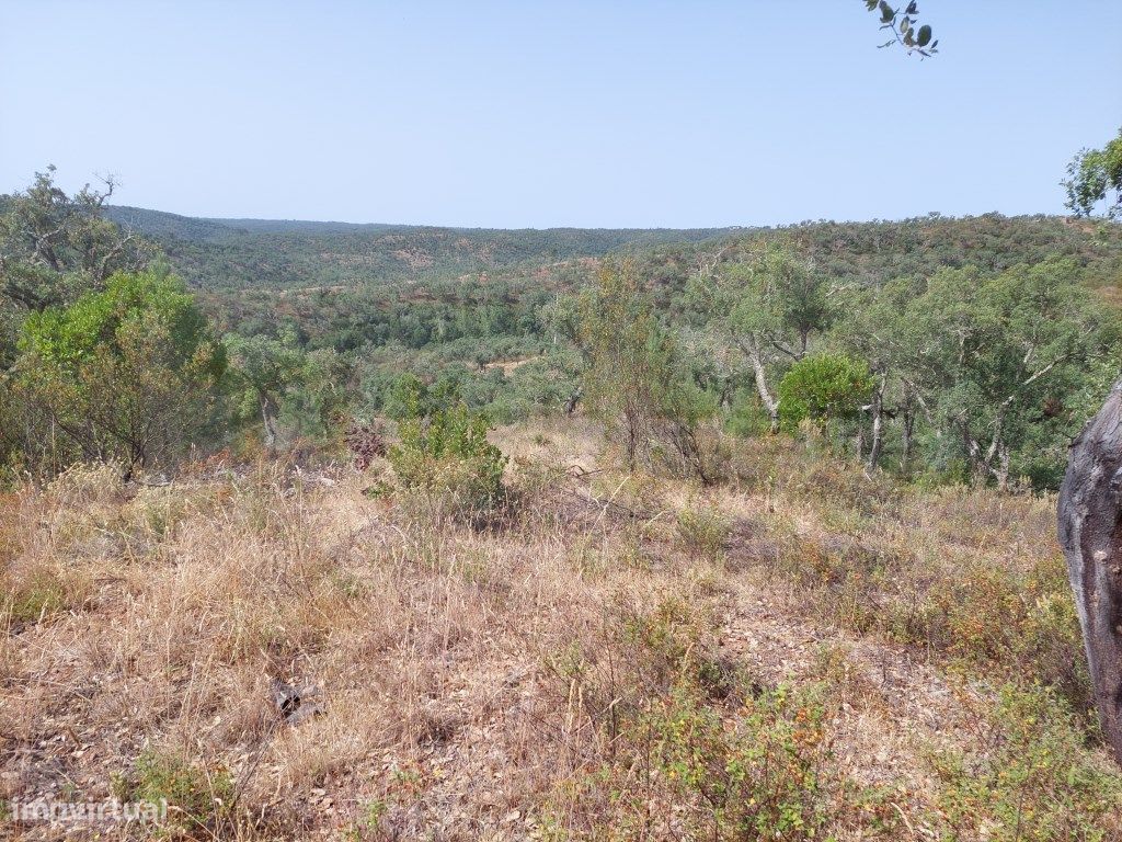 248300m² Land in Grandola, Portugal No. 271528