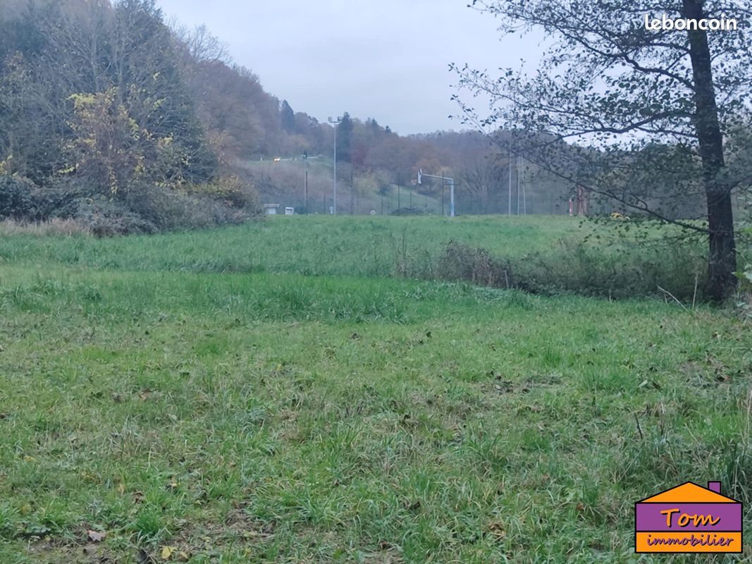 1350m² Land in Walschbronn, France No. 153003