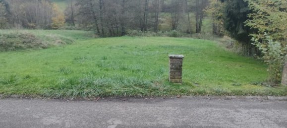 1350m² Land in Walschbronn, France No. 153003 4