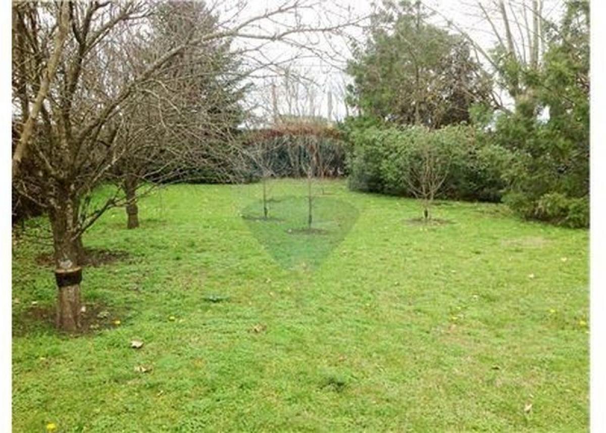 Terrain à General Rodriguez, Argentina No. 48895