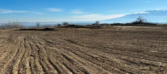 50000m² Land in Catignano, Italy No. 279155 3