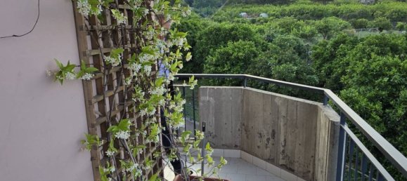 4 bedrooms Apartment in Mascali, Italy No. 265306 15