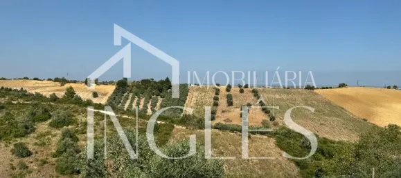 Дом с 6 спальнями в Сантарен, Португалия № 154559 27