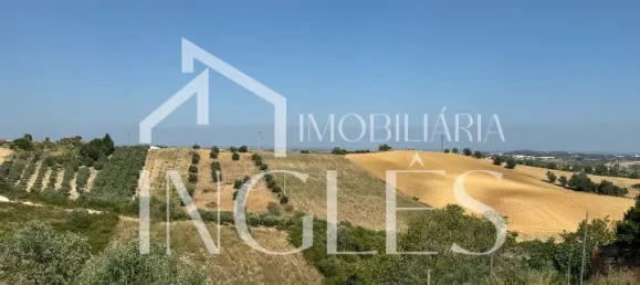 Дом с 6 спальнями в Сантарен, Португалия № 154559 28