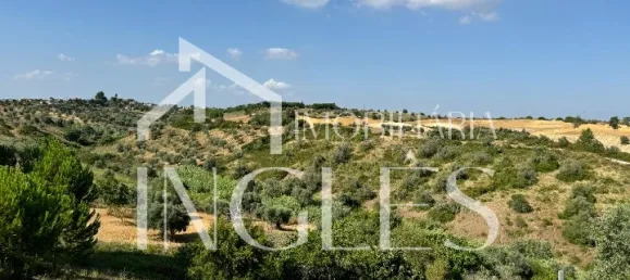 Дом с 6 спальнями в Сантарен, Португалия № 154559 29