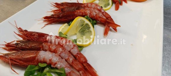 Gewerbliche Immobilie in Pianoro, Italy 300m², Nr. 296424 16