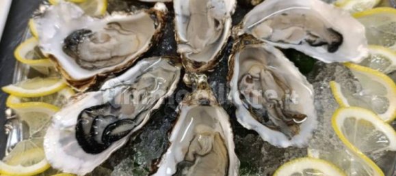 Gewerbliche Immobilie in Pianoro, Italy 300m², Nr. 296424 13