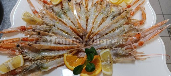 Gewerbliche Immobilie in Pianoro, Italy 300m², Nr. 296424 12