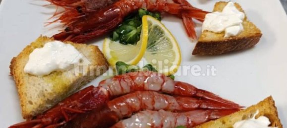 Gewerbliche Immobilie in Pianoro, Italy 300m², Nr. 296424 15