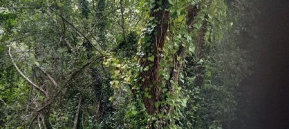 Terreno em La Tremblade, France N.º 341656 2