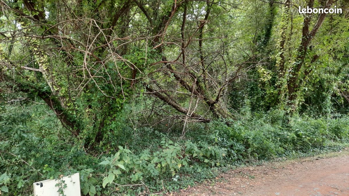 Terreno em La Tremblade, France N.º 341656