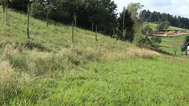  Land in St. Georgen am Walde, Austria No. 46727