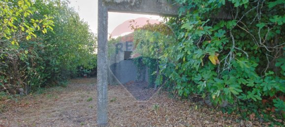 2 chambres Maison à Coimbra, Portugal No. 180395 14