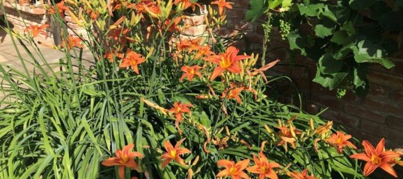 5-salle Maison à Eberau, Austria No. 126716 17