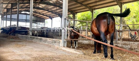 3 bedrooms Farm in Marsaskala, Malta No. 1113 6